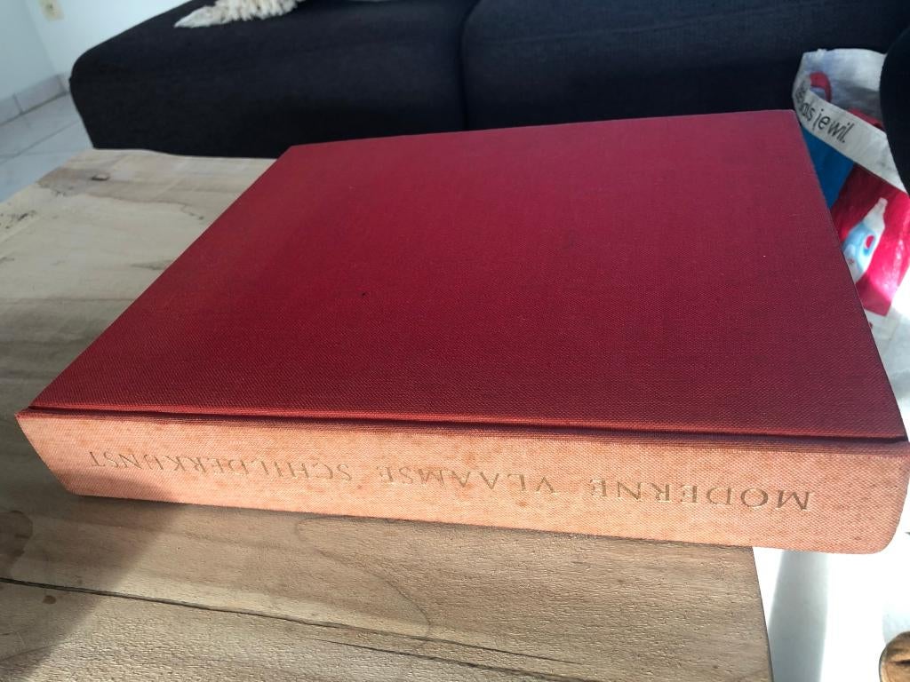 Moderne Vlaamse Schilderkunst van 1850 - 1950, Van Leys tot, Livres, Enlèvement ou Envoi, Utilisé, Peinture et dessin, Dr. Walther Vanbeselaere