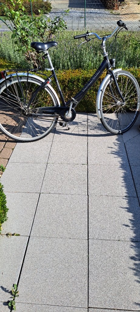 Damesfiets Thompson, Autres marques, Vitesses, Frein à tambour, 53 à 56 cm
