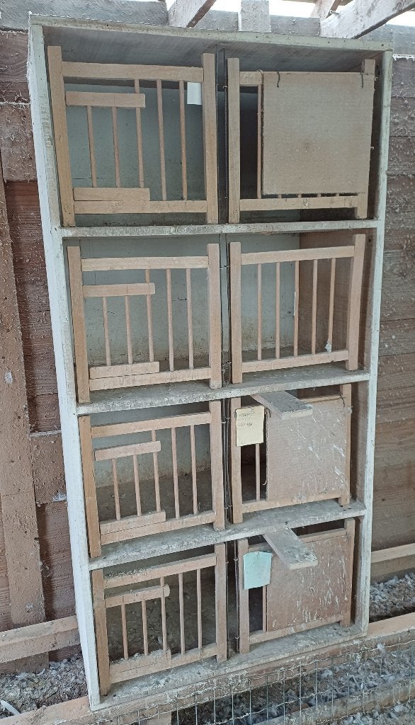 Houten kweekbak, Dieren en Toebehoren, Ophalen, Gebruikt, Hout, Broedkooi of Kweekkooi