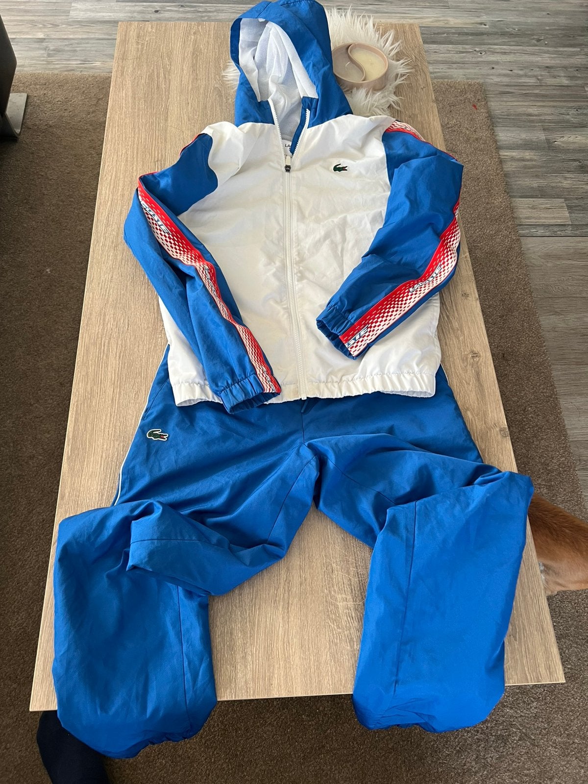 Training Lacoste, Vêtements | Hommes, Vêtements de sport, Enlèvement, Comme neuf, Taille 46 (S) ou plus petite