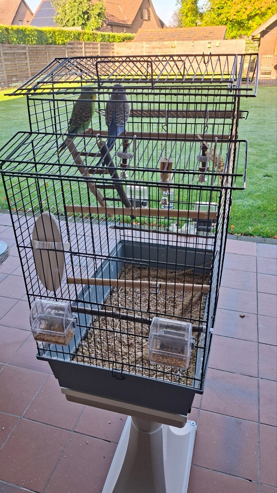 vogels met kooi, Dieren en Toebehoren, Ophalen