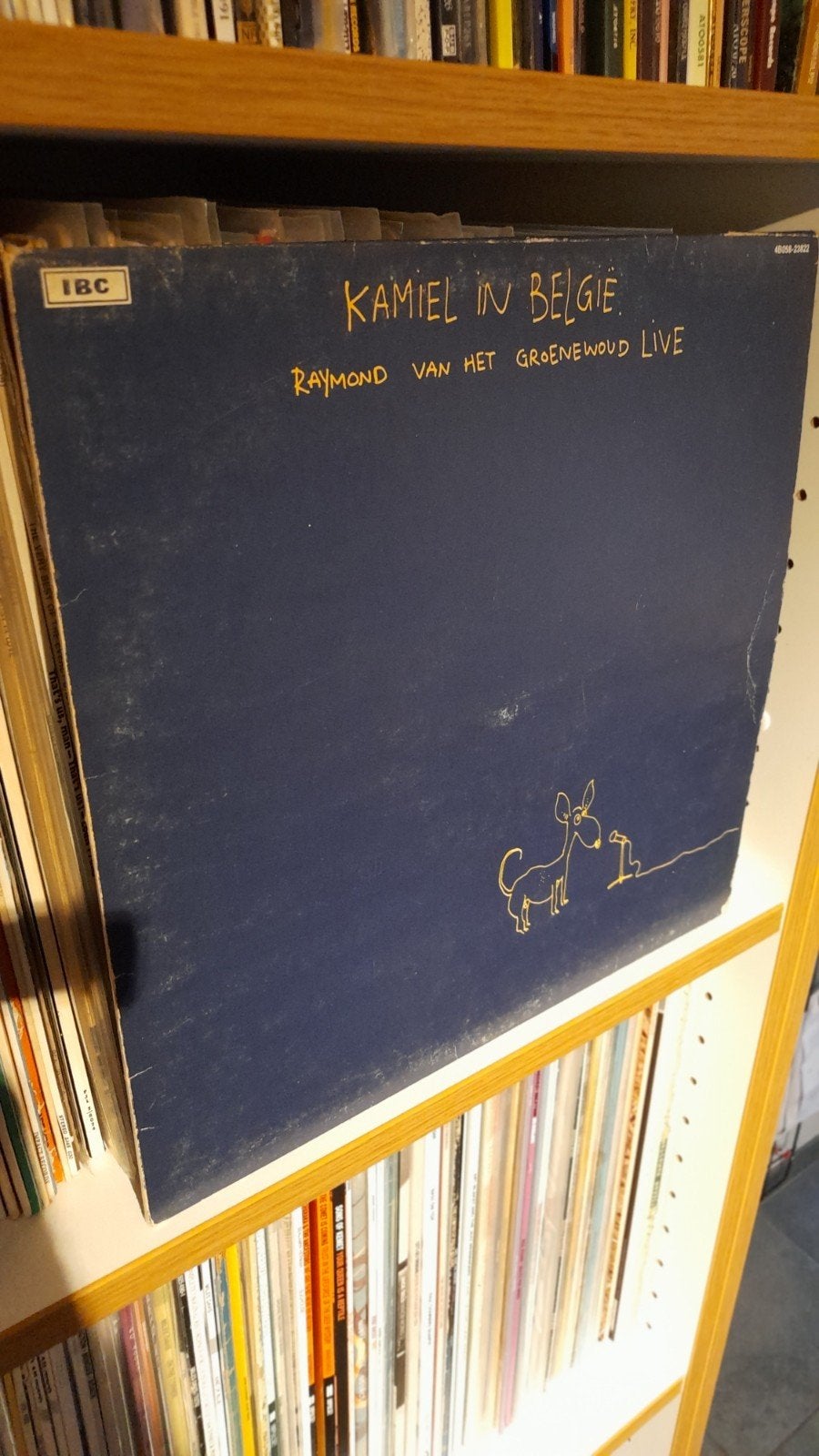 LP: Raymond vh Groenewoud - Kamiel in België, CD & DVD, Enlèvement ou Envoi, Cabaret ou Arts de la scène, LP, 12 pouces
