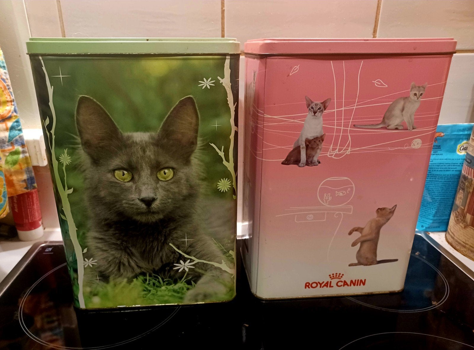 2 blikken dozen royal canin vintage, Animaux & Accessoires, Nourriture & Abreuvoirs pour chats, Enlèvement ou Envoi
