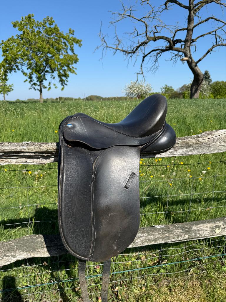 Zadel, Enlèvement, Utilisé, Dressage
