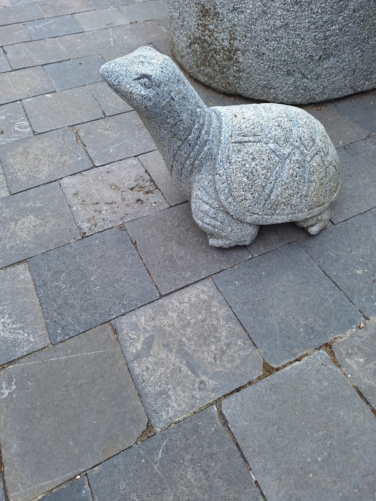 granieten schildpad, Ophalen