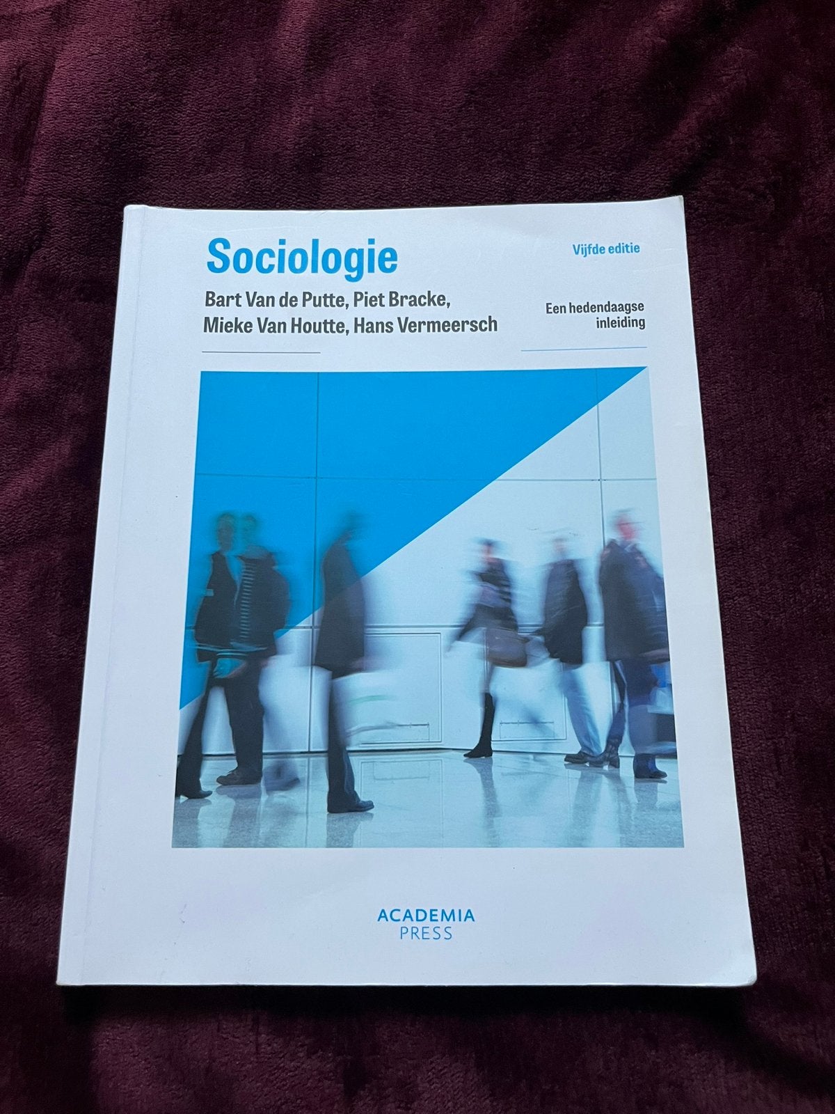 Piet Bracke - Sociologie, Ophalen of Verzenden, Piet Bracke; Bart Van de Putte; Mieke Van Houtte; Hans Vermee...