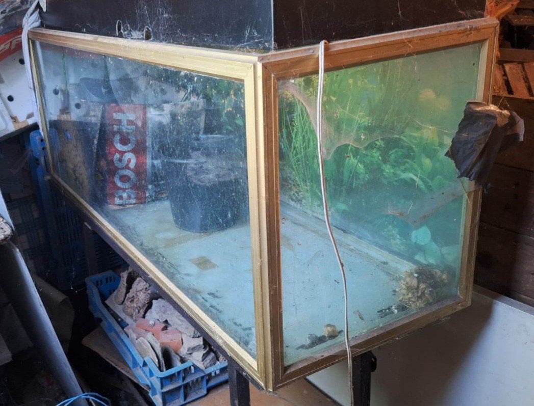 Grote Aquarium, Dieren en Toebehoren, Ophalen, Terrarium of Paludarium