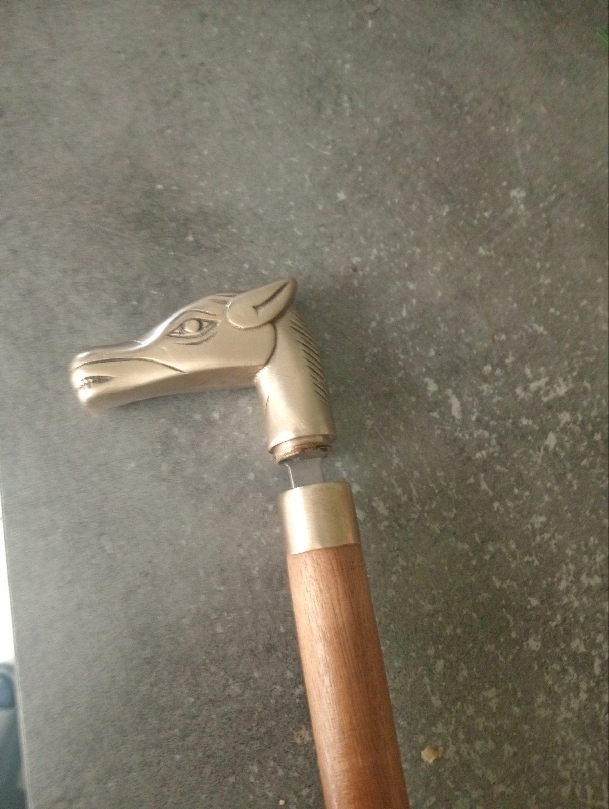 canne cheval +++, Divers, Enlèvement ou Envoi
