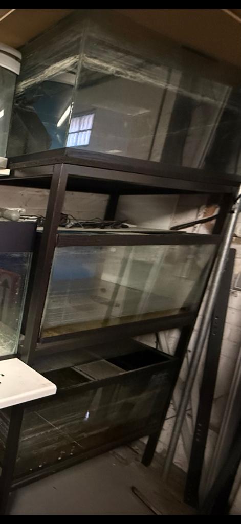 Meuble de 3 aquariums, Animaux & Accessoires, Enlèvement, Utilisé, Aquarium d'eau douce rempli