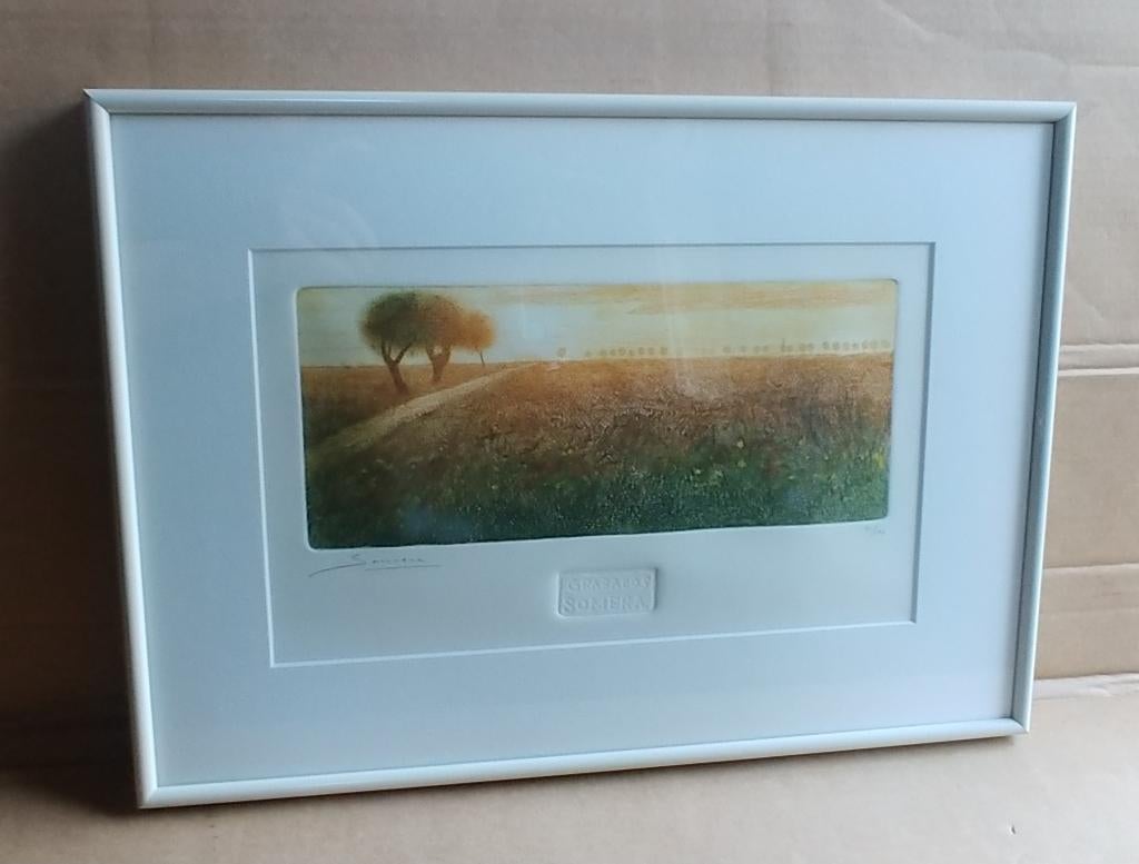 Ltd 41/100 Landschap olijfbomen aquarel Grabados Somera, Ophalen of Verzenden