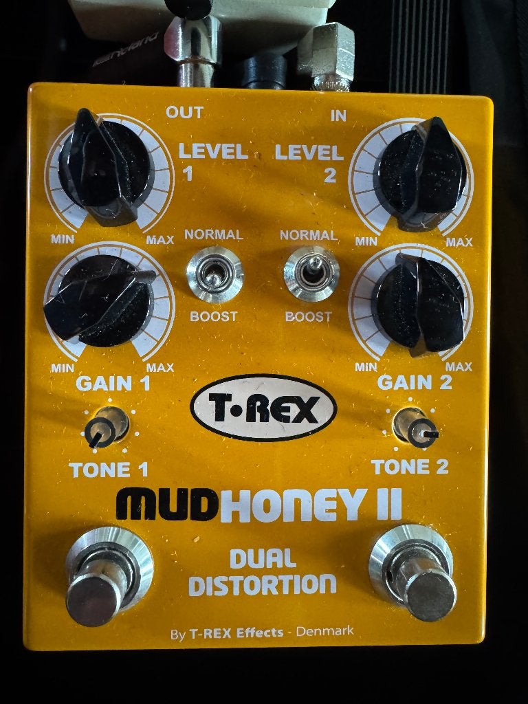 T-Rex MudHoney II, Musique & Instruments, Enlèvement