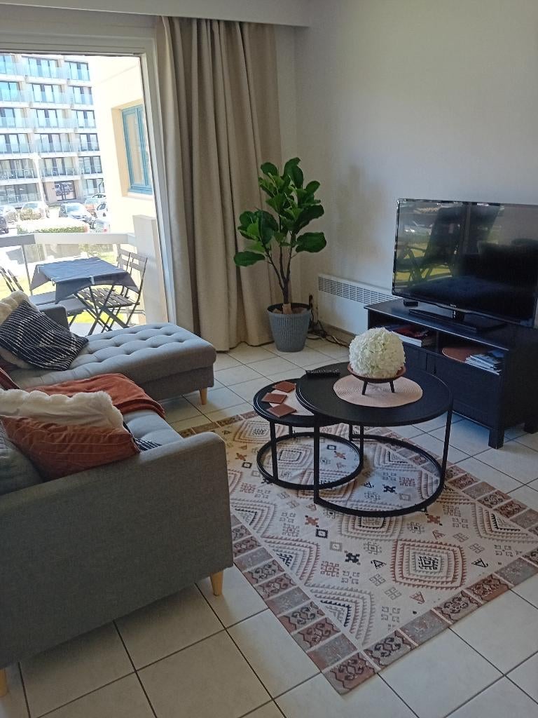 Appartement Nieuwpoort-bad, Vacances, Maisons de vacances | Belgique, Propriétaire, 5 personnes, Appartement, 2 chambres