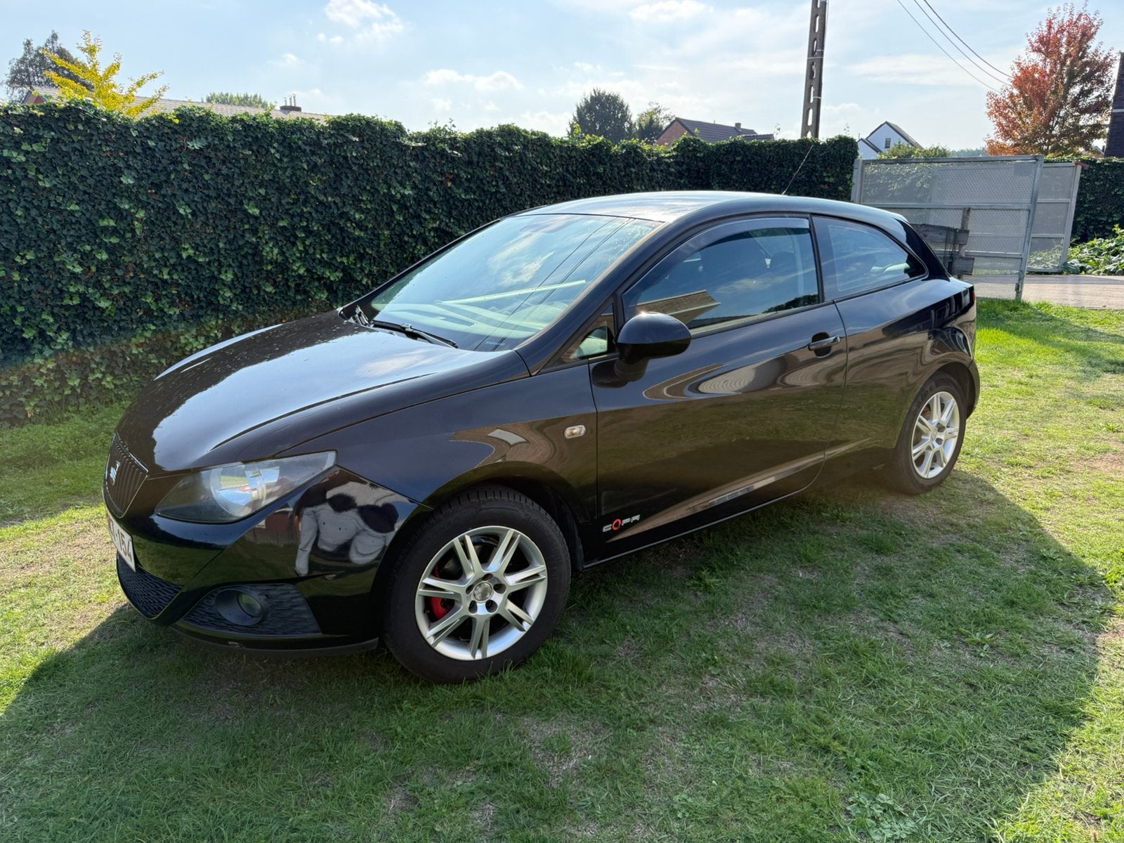 Seat Ibiza, Autos, Achat, Entreprise, Boîte manuelle, Ibiza