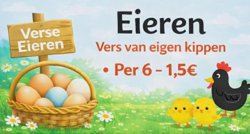 Verse eieren te waardamme, Diversen, Levensmiddelen, Ophalen