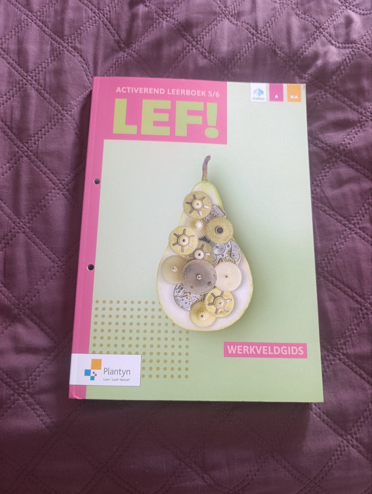 Activerend leerboek 5/6 LEF! Werkveldgids, Livres, Livres scolaires, Neuf, Els Vanaudenaerde, Kim Van Bocxlaer,..., Enlèvement ou Envoi