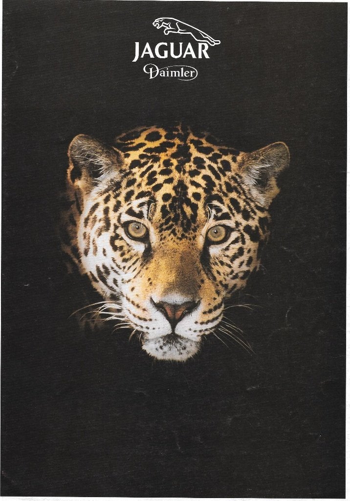 Brochures de la gamme JAGUAR 1993, Livres, Autos | Brochures & Magazines, Comme neuf, Autres marques, Enlèvement ou Envoi