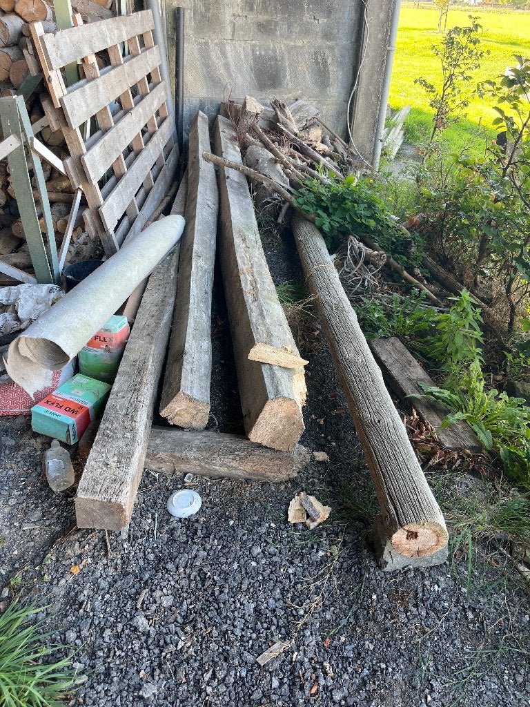 Brandhout, Enlèvement, Troncs d'arbres