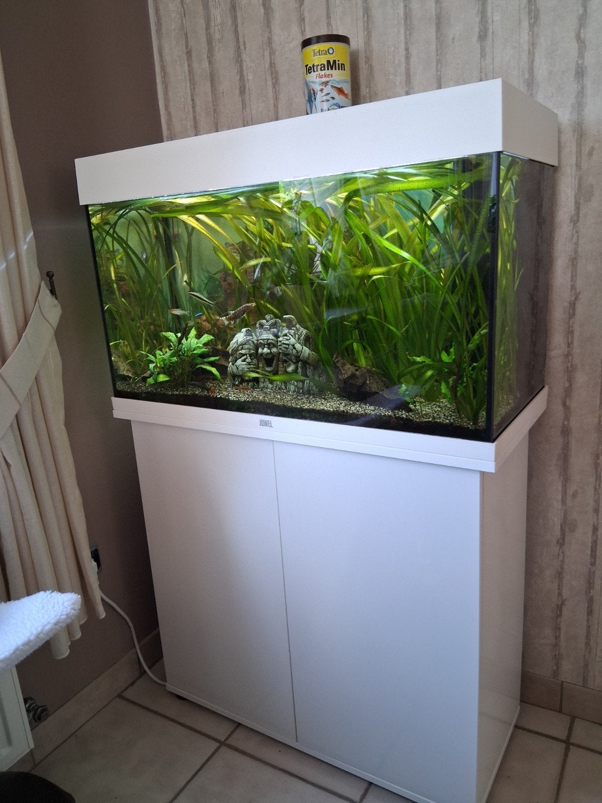 aquarium te koop, Enlèvement, Juwel