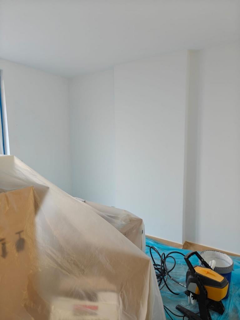 Peintre professionnel au pistolet Airless – Belgique, Garantie, Peinture extérieure