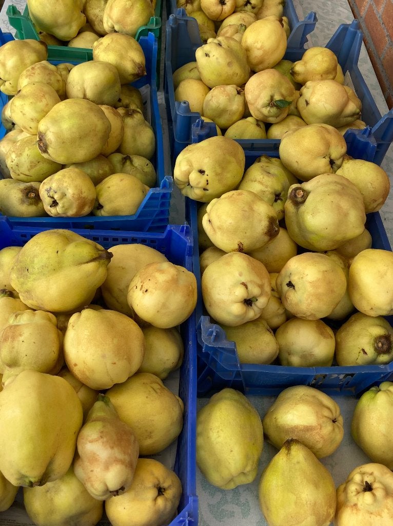 Kweeperen, Ophalen