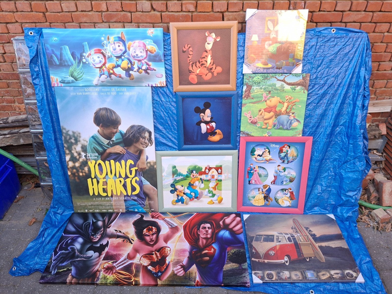 diverse kaders/ canvas'en, Ophalen, Meerkleurig, Zo goed als nieuw, Overige typen