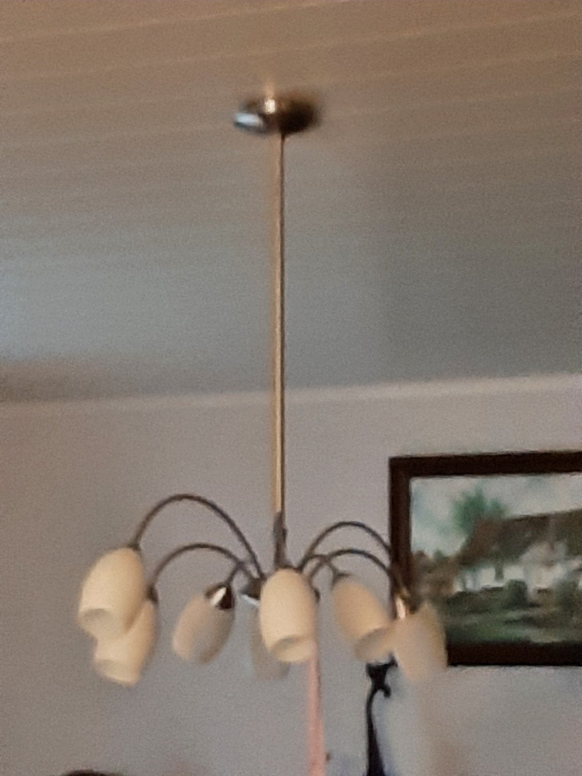 grand lustre à 8 lumières, Enlèvement