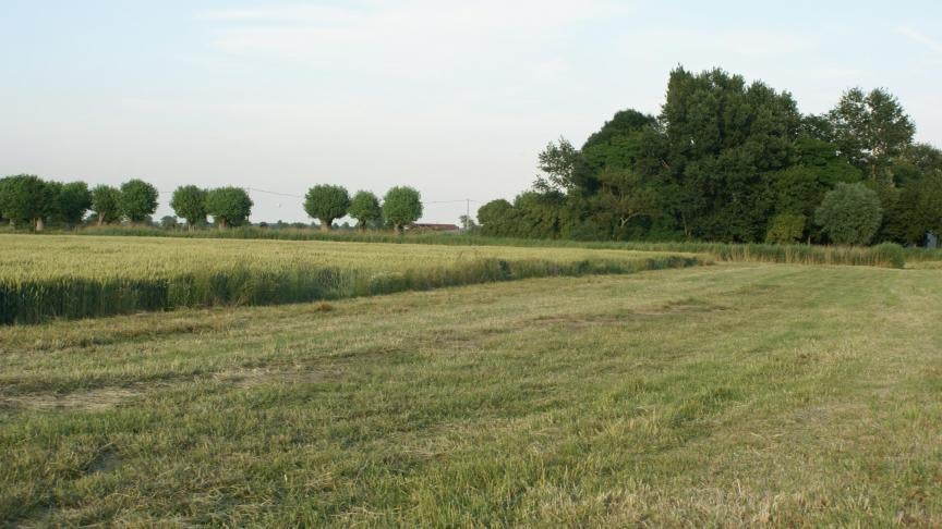 Ik zoek pachtgrond/landbouwgrond te huur, Immo, Antwerpen, 1500 m² of meer