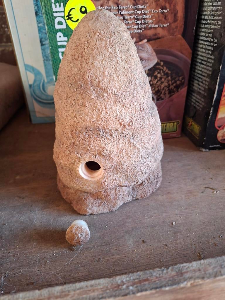 Terrarium heuvel voor boeder dieren, Enlèvement