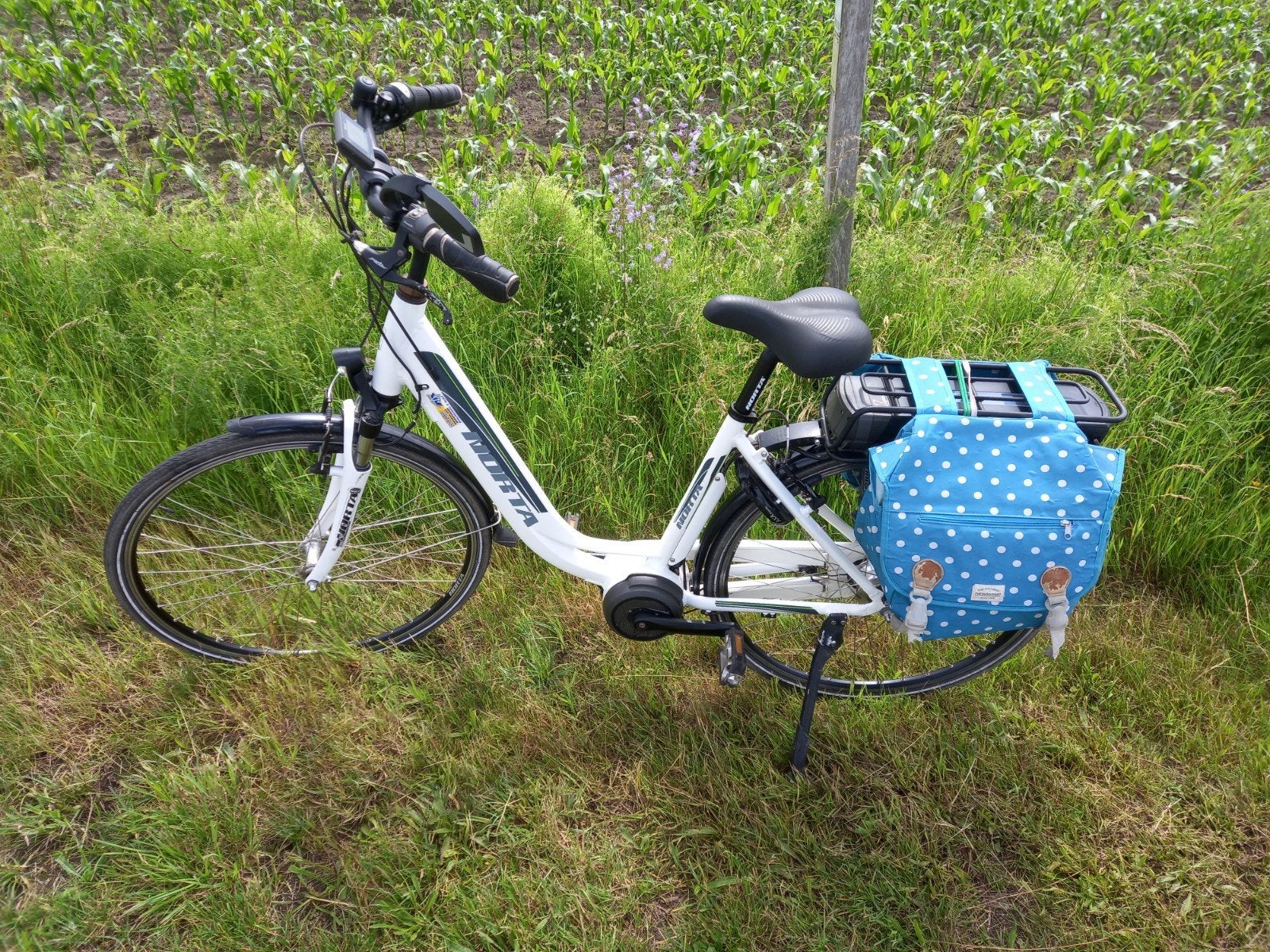 Elektrische fiets met middenmotor, Enlèvement