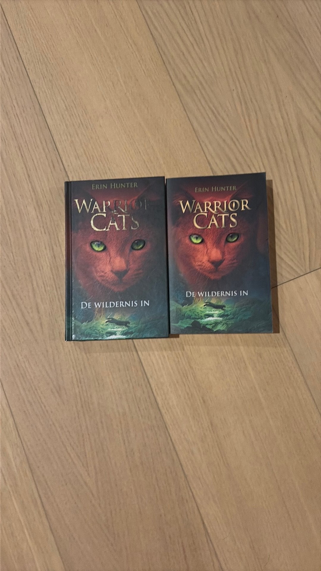 Erin Hunter - De wildernis in, Ophalen, Erin Hunter, Zo goed als nieuw, Fictie