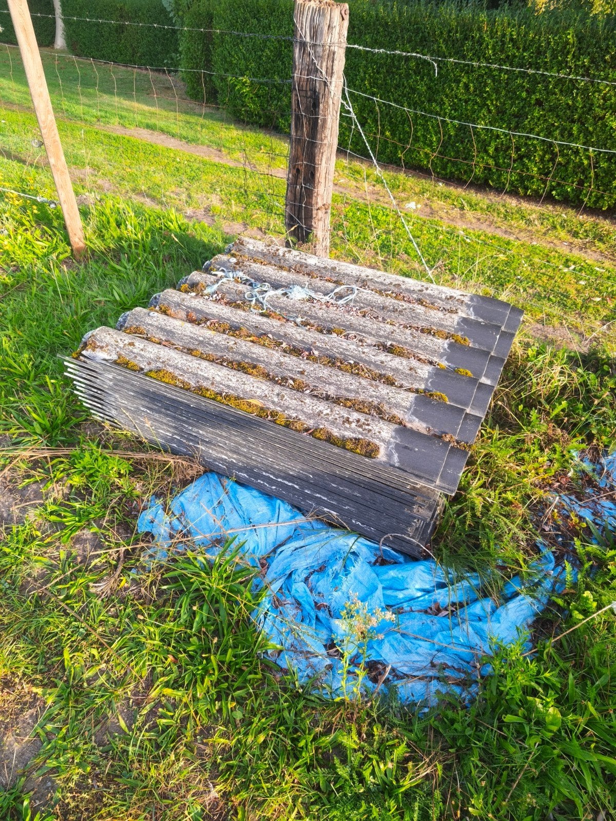 dakplaten, Doe-het-zelf en Bouw, Ophalen