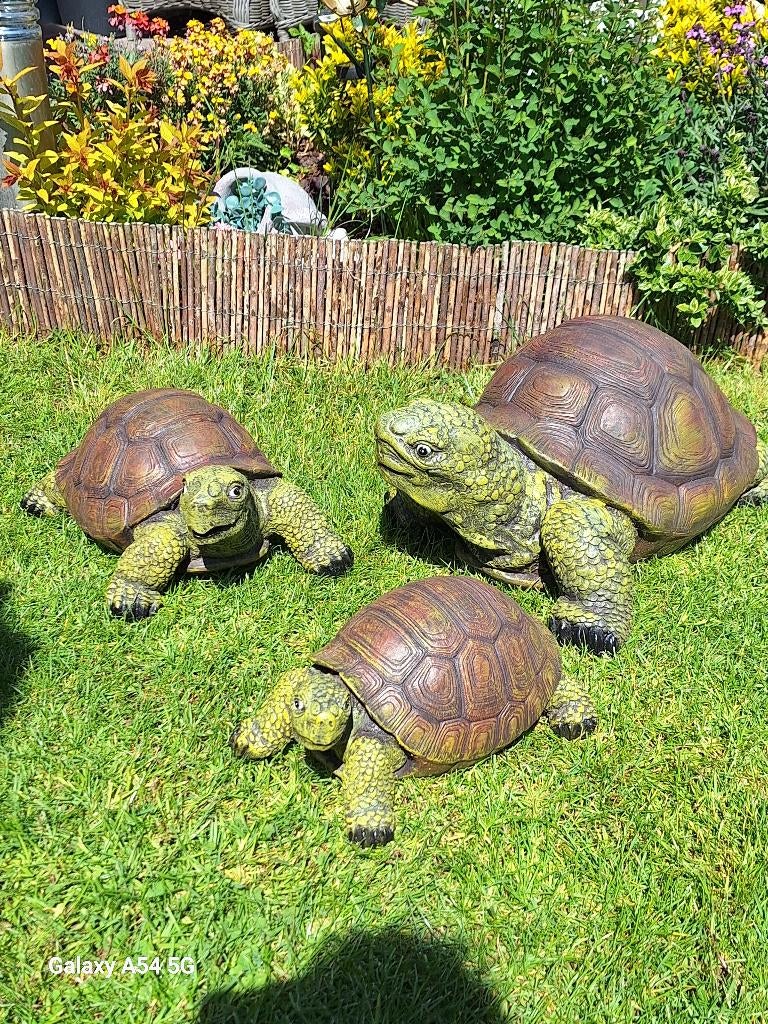 schildpadden tuindecoratie, Ophalen, Nieuw, Kunststof, Dierenbeeld