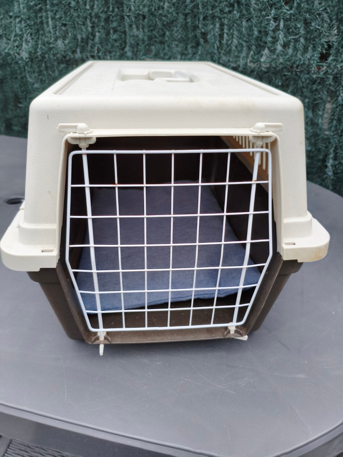 cage de transport chien ou chat, Enlèvement, Utilisé