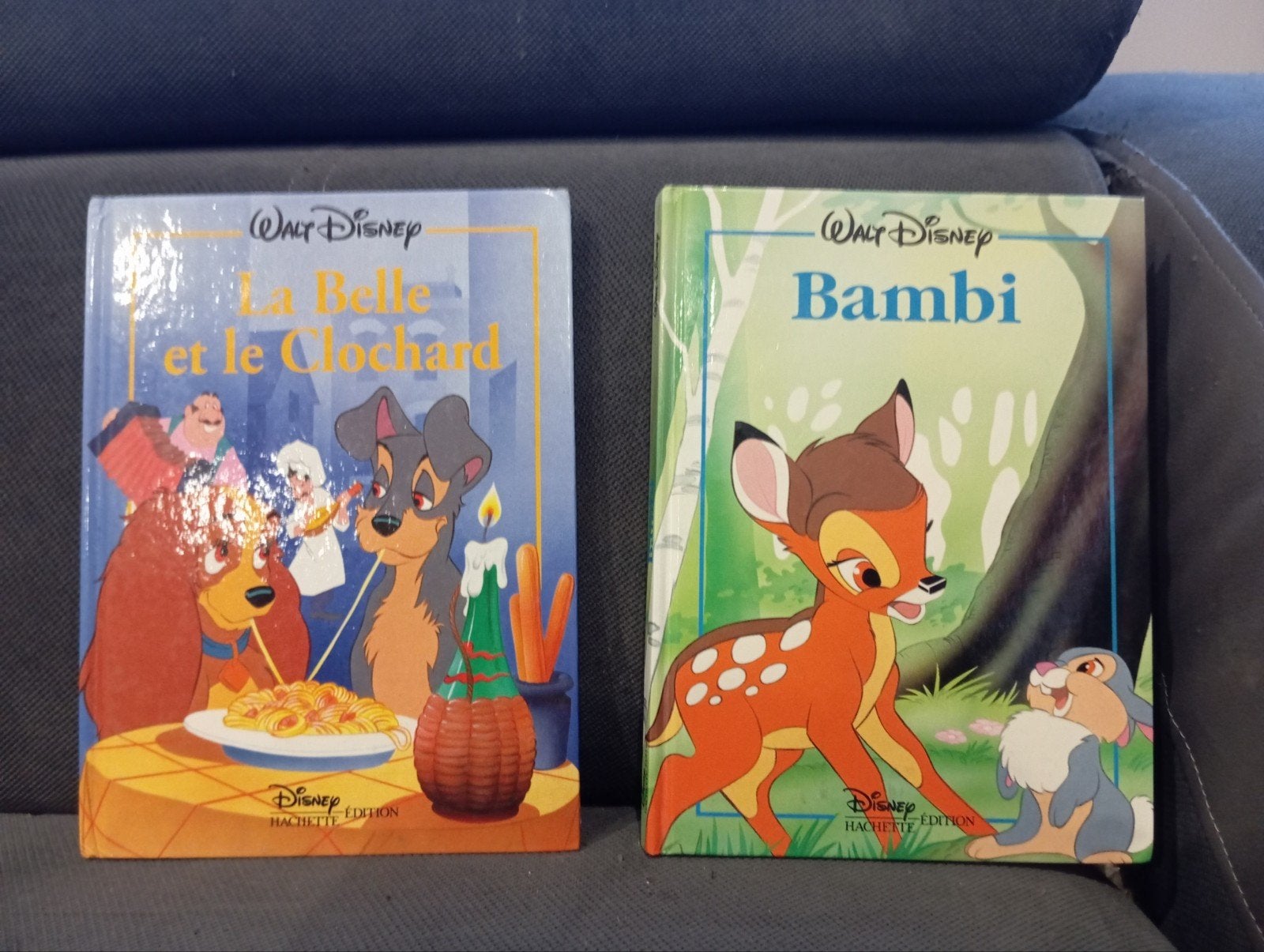 Livre Walt Disney La Belle et Le Clochard et Bambi, Livres, Enlèvement