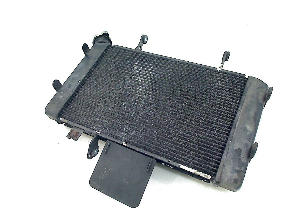 RADIATEUR Suzuki DL 650 V-Strom XT 2015 (DL650), Dhr. S. di Majo, Gebruikt, Info@cama-motorparts.nl, P.J. Troelstraweg 8 8
3144 CX  MAASSLUIS, NL