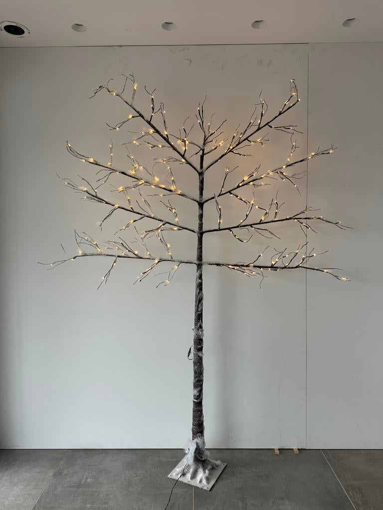 Sapin de Noël avec éclairage intégré, Divers, Noël, Enlèvement, Neuf