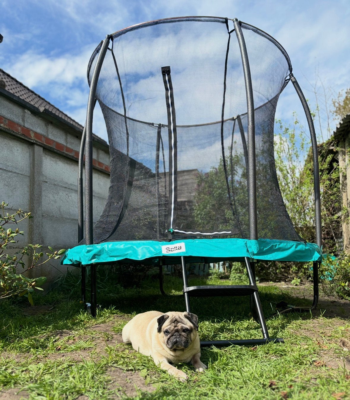 Trampoline, Ophalen, Zo goed als nieuw