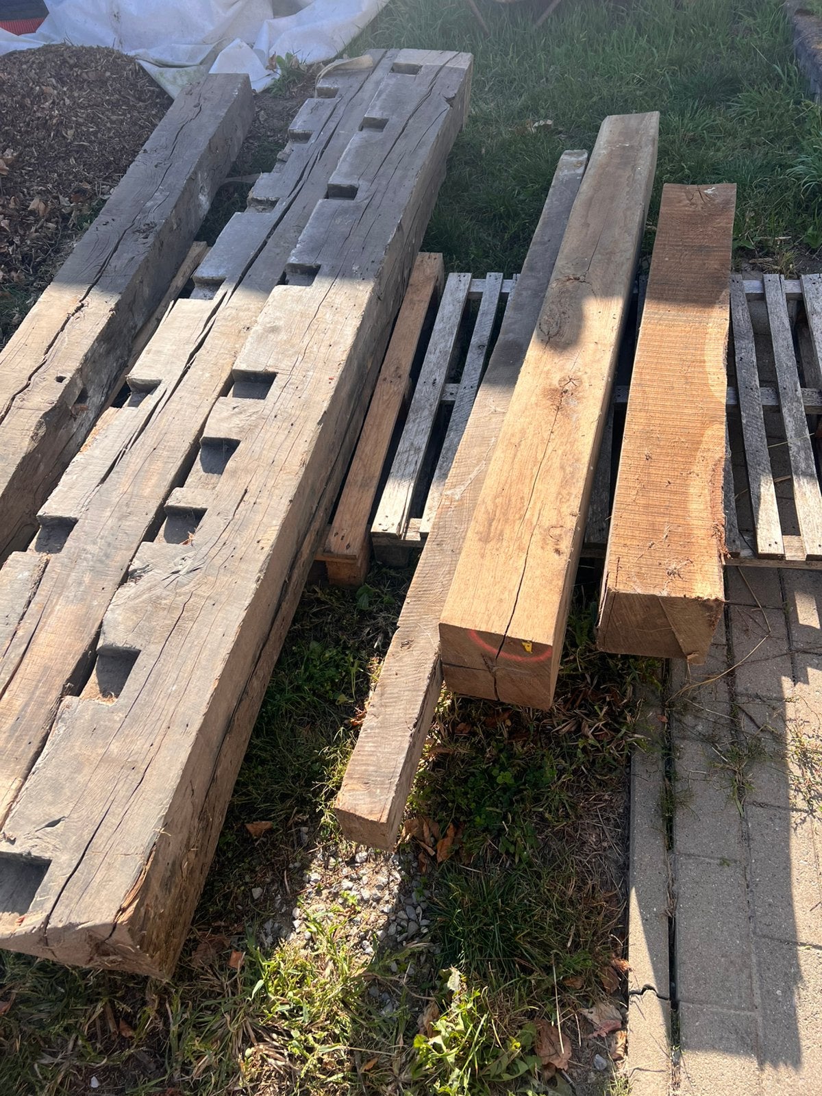 6 poutres en bois de chêne, Enlèvement, Comme neuf, 250 cm ou plus, Poutres