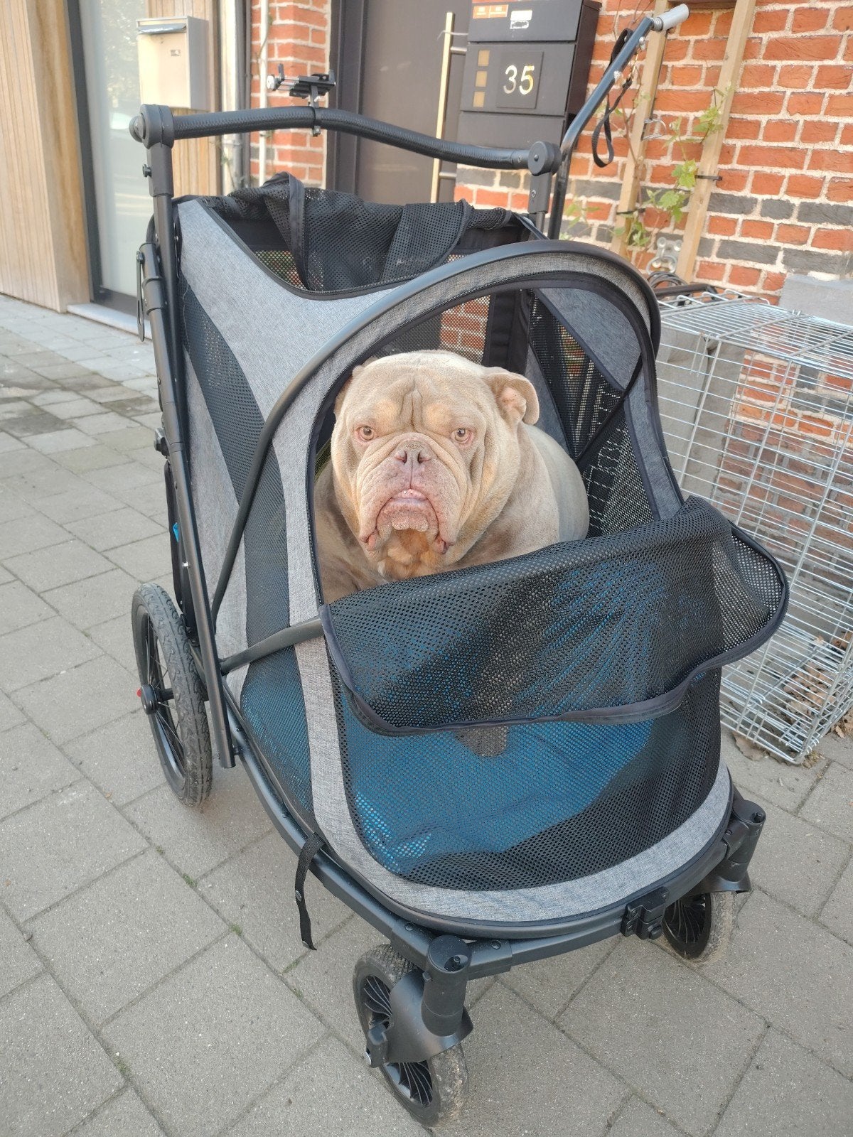 Zeer degelijke Hondenbuggy voor grote honden, Ophalen, Hondenbuggy