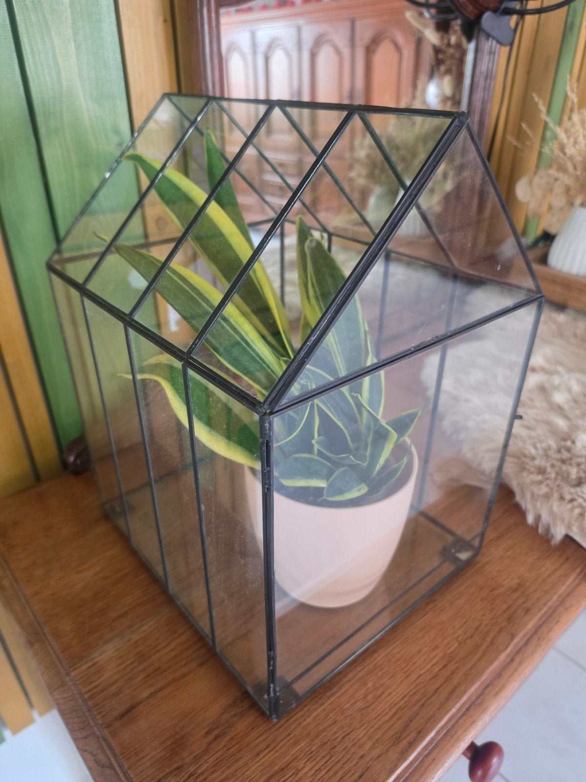Terrarium / kweekkas voor planten, Tuin en Terras, Ophalen, Kweekkas
