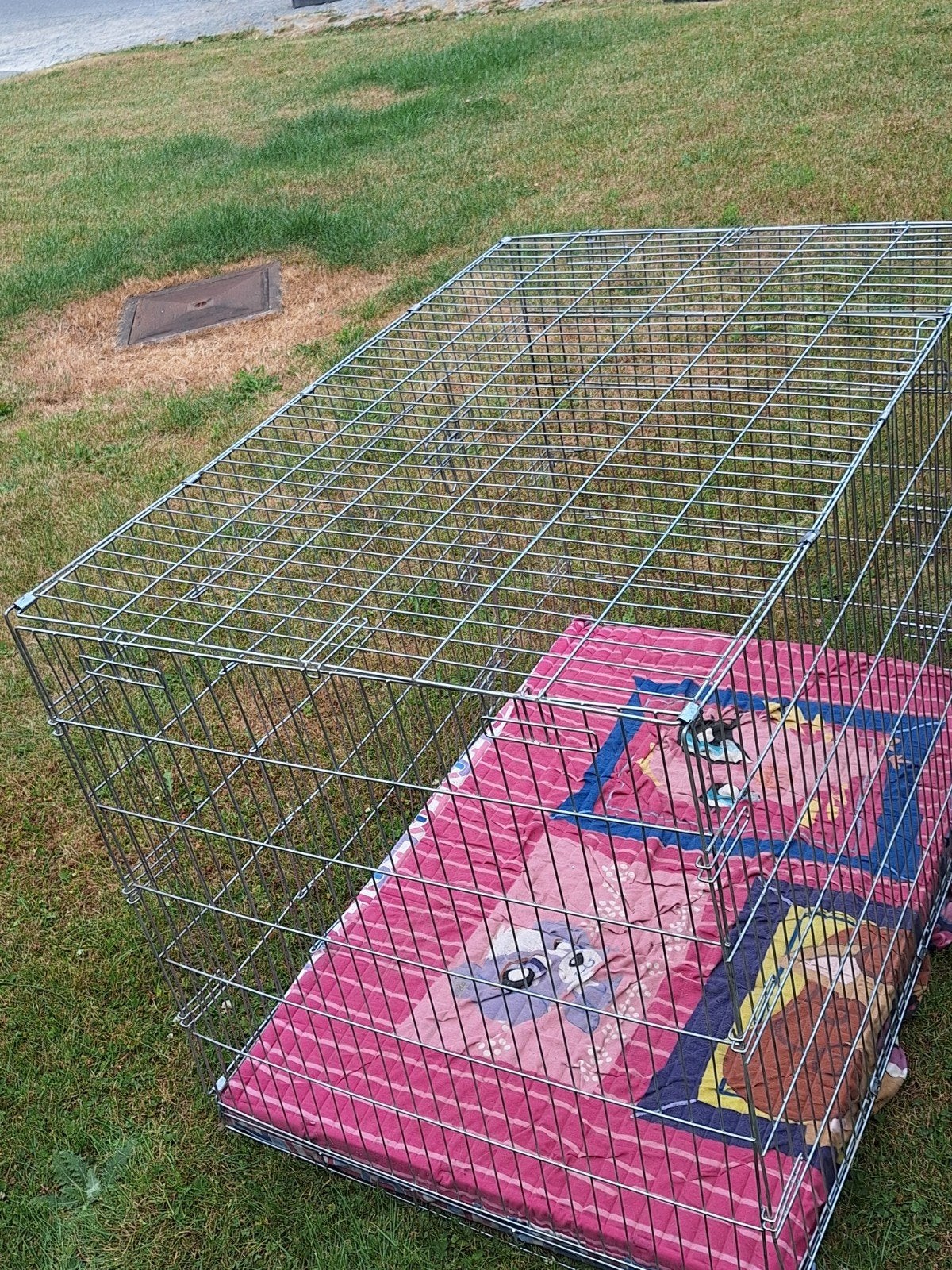 honden bench, Enlèvement