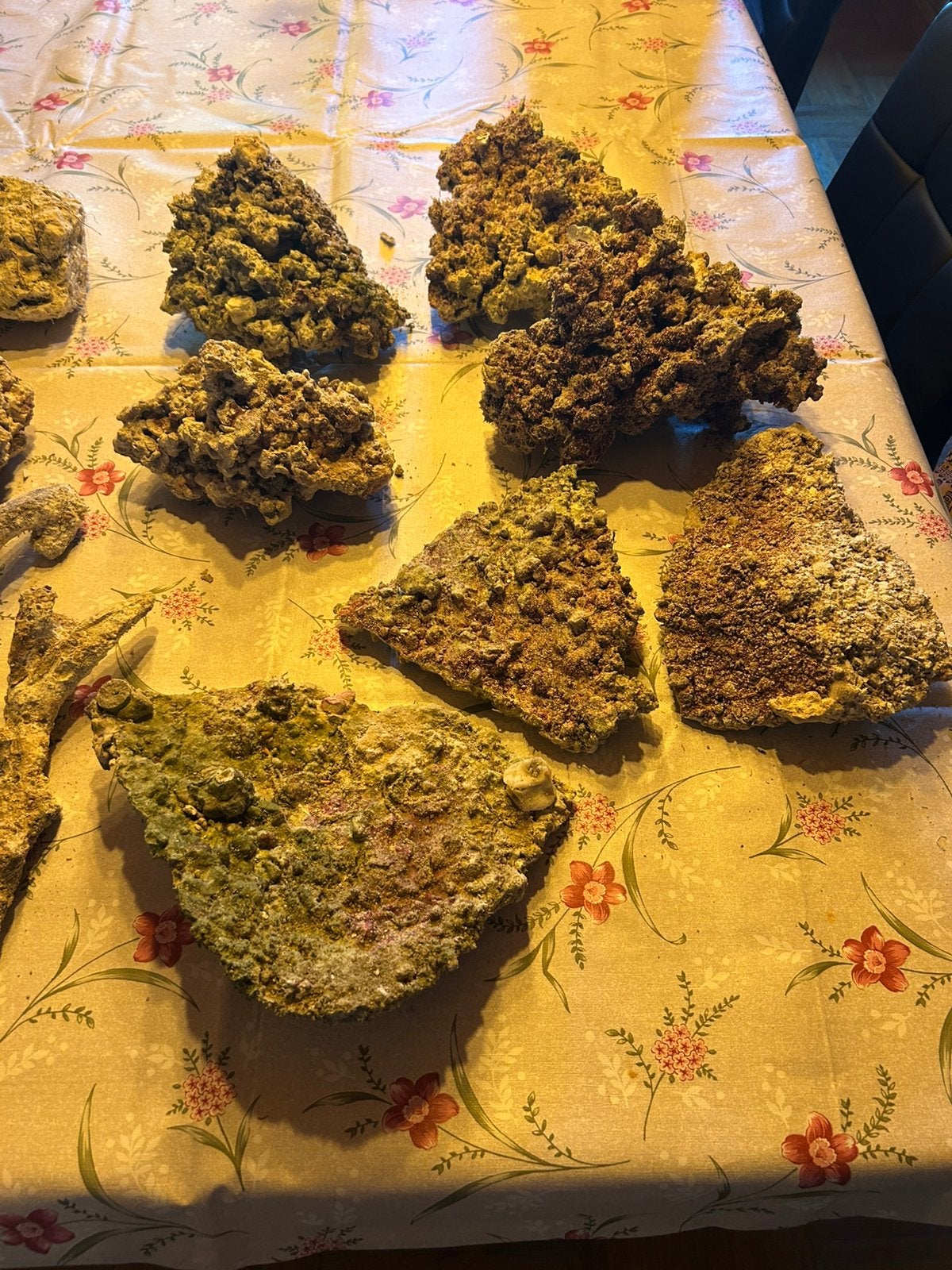 Real reef rock 20 kilo, Ophalen of Verzenden, Zo goed als nieuw