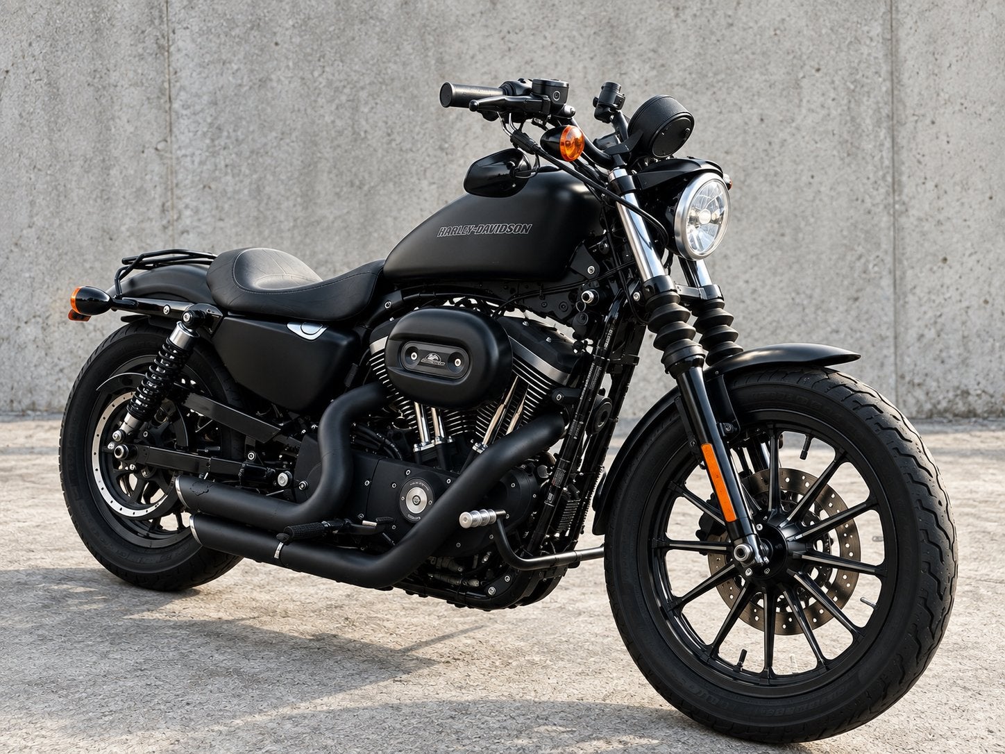 Harley Iron Sportster, Particulier