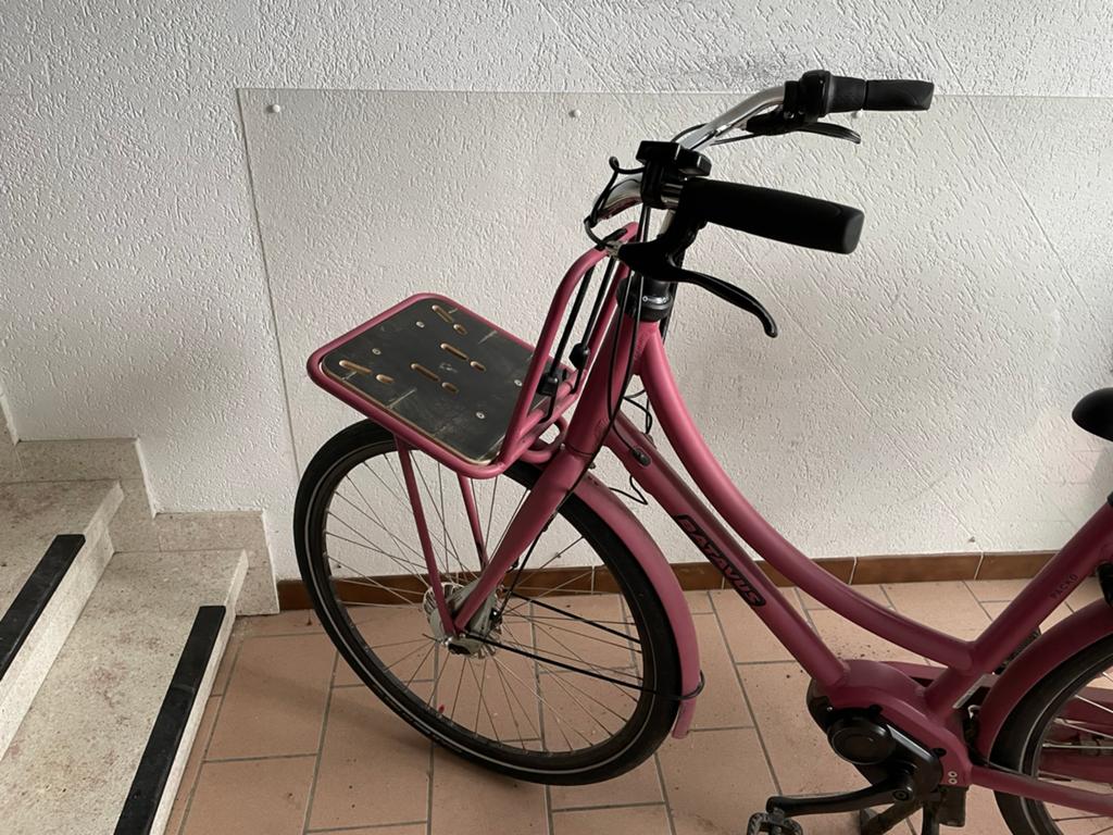 Elektronische damesfiets, Fietsen en Brommers, Elektrische fietsen, Gebruikt, Batavus, Ophalen