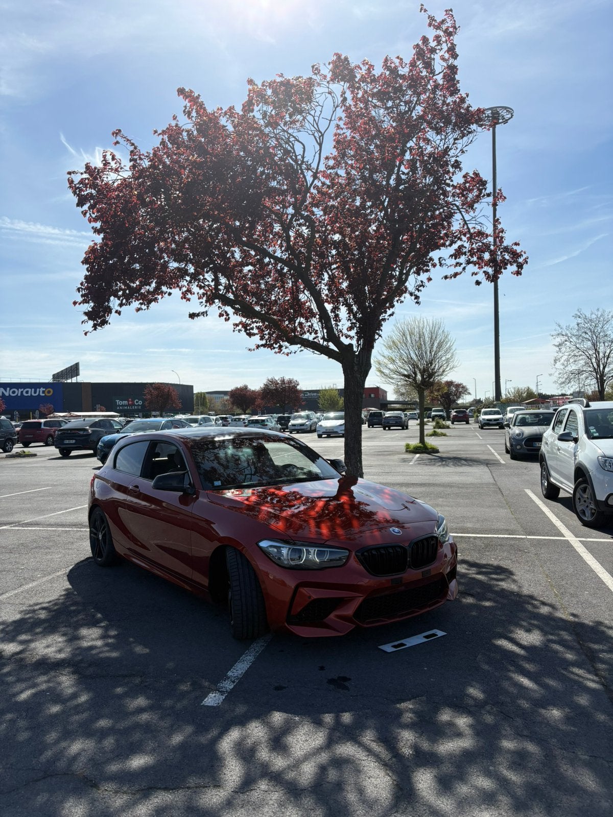 M140i LCI2 Sunset Shadow Edition RWD(propulsion) BVA8, Autos, Achat, Euro 6, 6 cylindres, 5 places