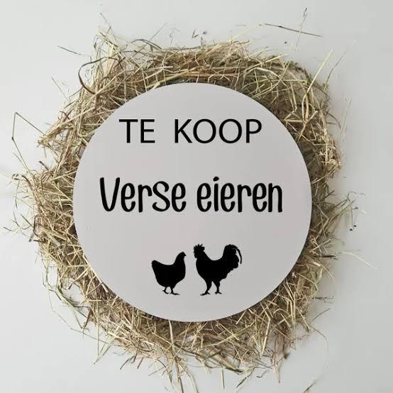Verse scharreleieren te koop, Enlèvement