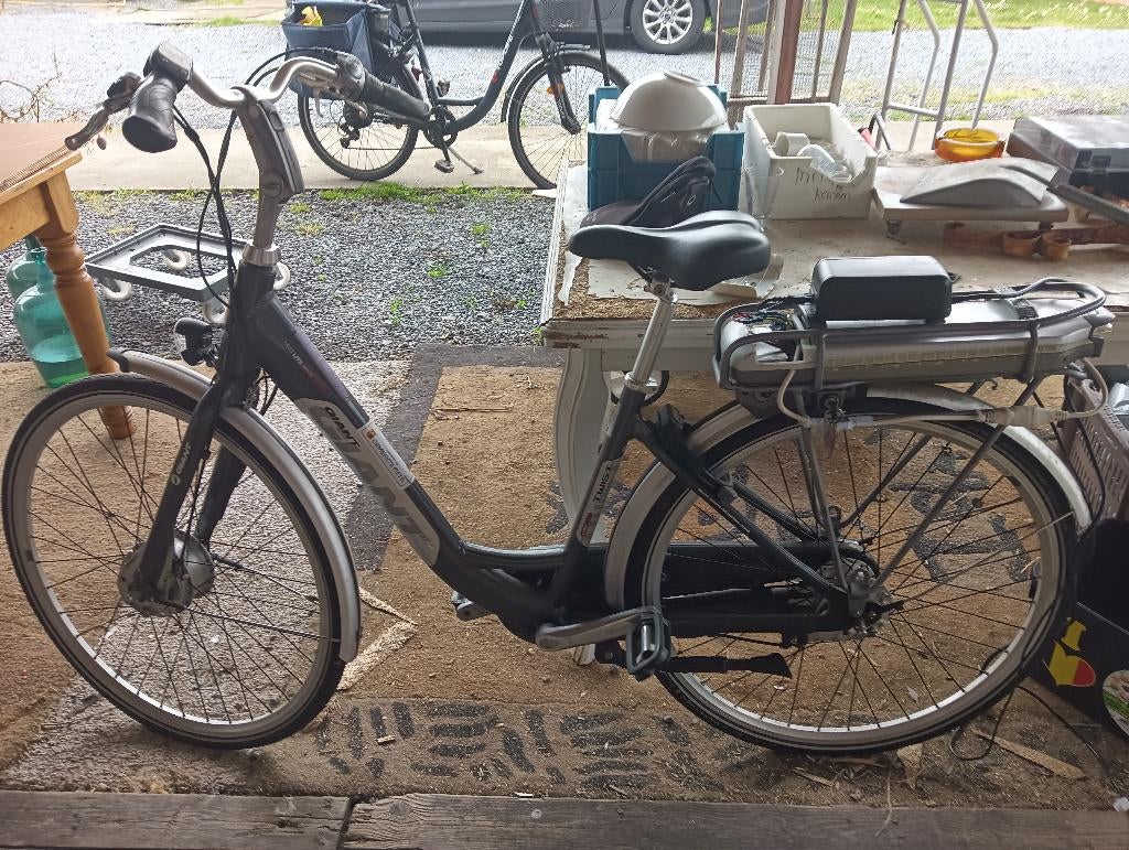 fiets, Ophalen, Gebruikt, Giant, 50 tot 53 cm