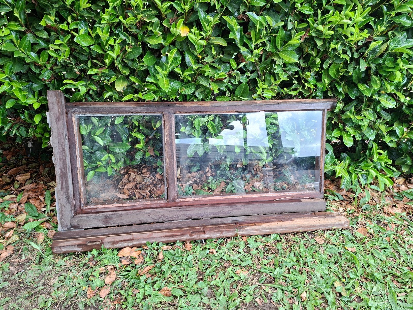 Raam Meranti, enkel glas, Enlèvement