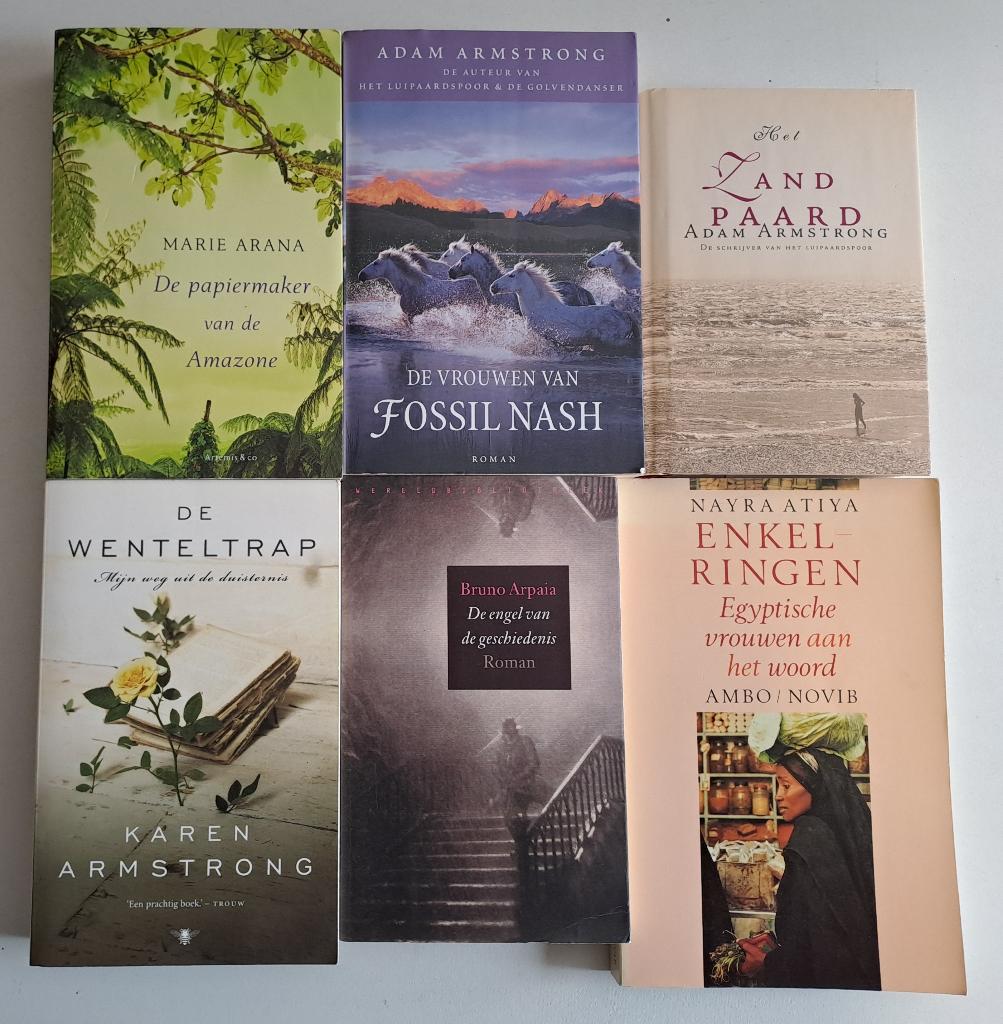 Romans & Literatuur (3), Ophalen of Verzenden, Gelezen