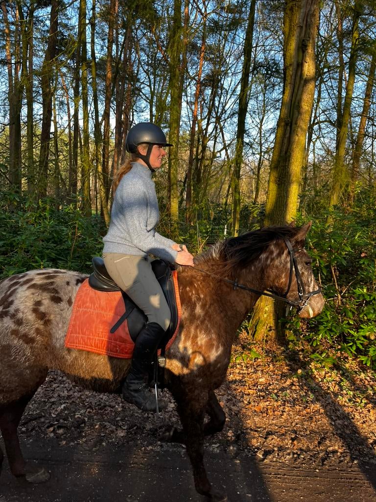 Mooie appaloosa merrie 3j, Dieren en Toebehoren, Paarden, Minder dan 160 cm, Zadelmak, 3 tot 6 jaar, Recreatiepaard